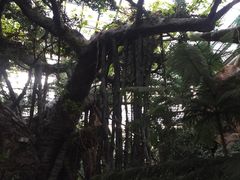 -龙达温泉生态城