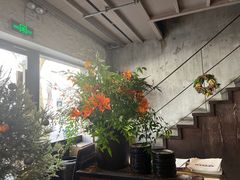 -Apollo·西班牙小酒馆(安福路店)