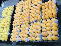 -菜园坝水果市场
