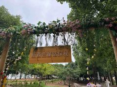 -陶辛水韵
