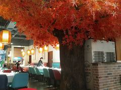 -雲蜀龙阁·金牌水煮鱼(方庄店)