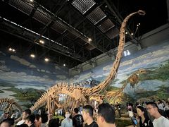 -自贡恐龙博物馆