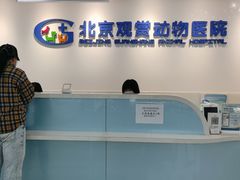 -北京观赏动物医院·24小时大型综合·猫专科·异宠专科