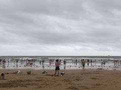 -日照海滨国家森林公园