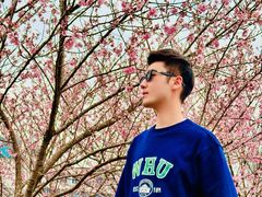 -武汉大学图书馆·文理学部总馆