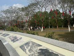 -海珠湖公园