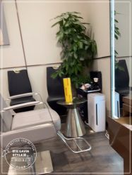 -崇尚GAVIN STYLE臻选