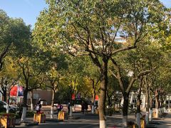 -上海市实验学校
