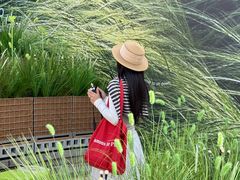 -龙湖重庆时代天街