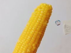 -田老师红烧肉(回龙观二店)