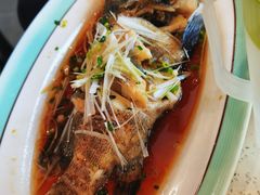 清蒸石斑鱼-巧克力渔家.小船海鲜胶东菜(万平口店)