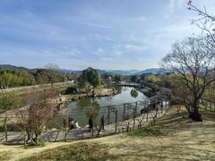 -兰亭风景区