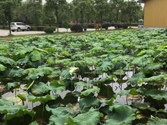 -千龙湖生态旅游度假区