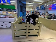 -红星前进面包牛奶公司(君太店)