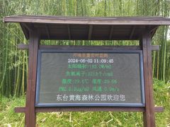 -黄海国家森林公园