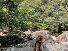 -黄山翡翠谷景区