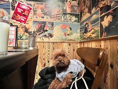 -赤谷和牛烧肉居酒屋(石景山店)