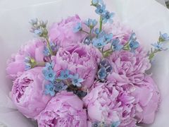 -Flower in(密渡桥店)