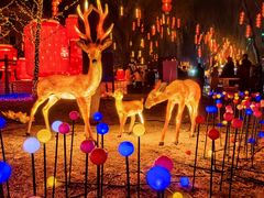 -承德避暑山庄景区