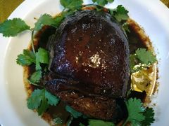 -呼吸森林·生态农庄农家乐私房菜