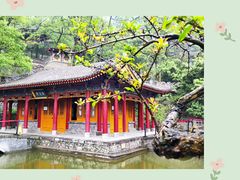 -华清宫景区