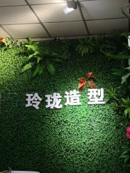 -玲珑造型·发型新势力