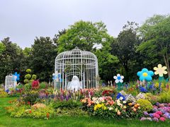 -上海共青森林公园