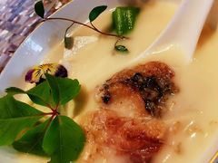 白鲫荠菜豆腐-临江宴(陆家嘴店)