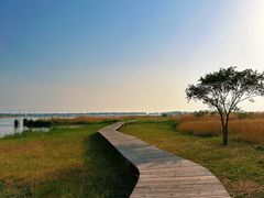 -野鸭湖国家湿地公园