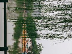 -莲湖公园