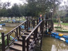 -武汉紫薇都市田园