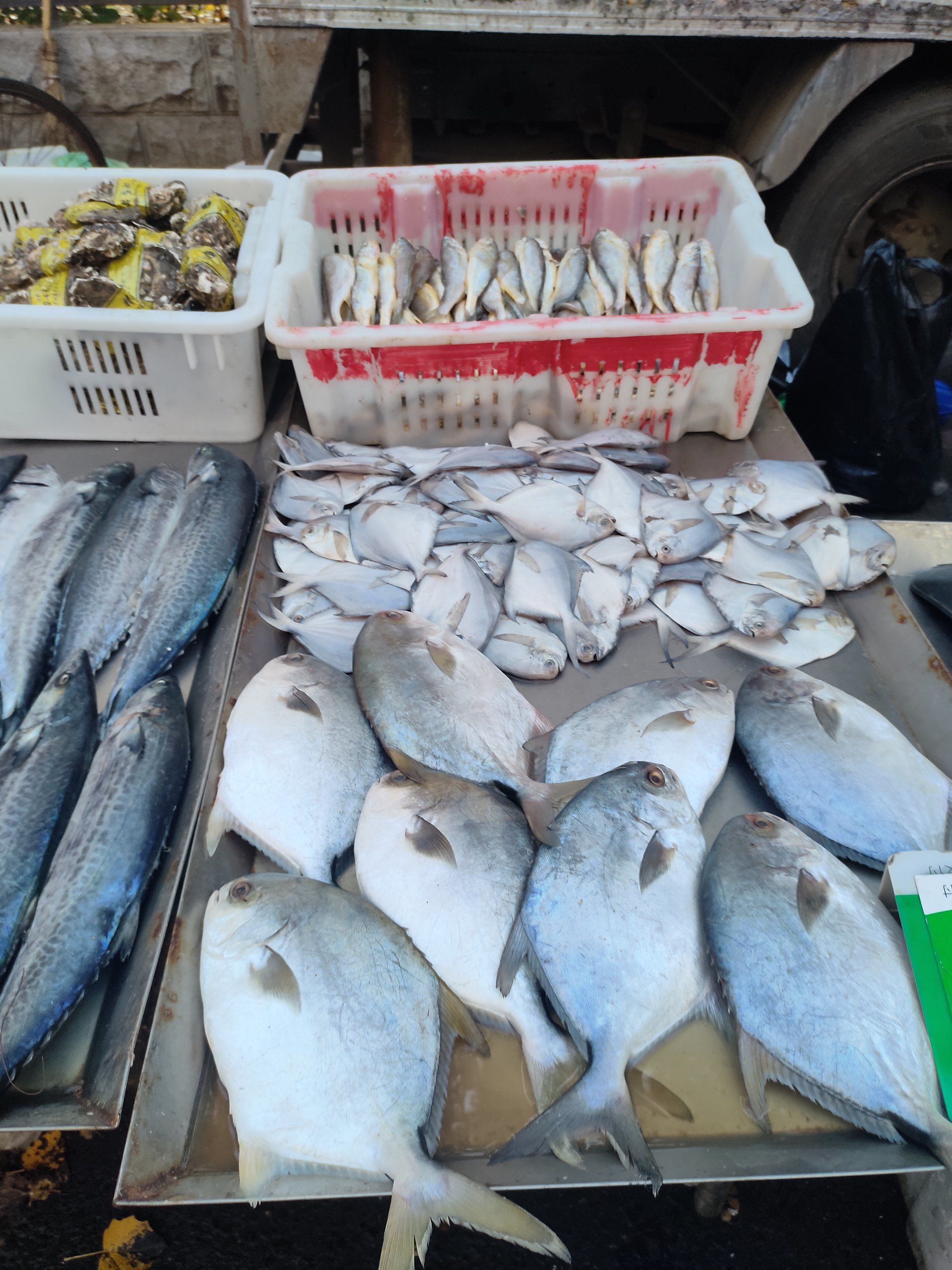 海鲜市场,#水产市场 #特色集市玩乐推荐 #逛一逛当地特色市集 #菜市场