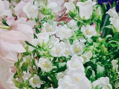 -BEAST野兽派(上海浦东嘉里城店)