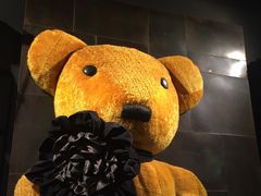 -济州岛泰迪熊博物馆