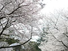 -杭州少年儿童公园