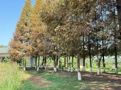 -白鹭湾湿地公园