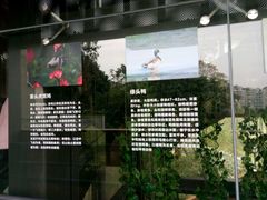 -梅峰山地公园