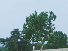 -钟山体育运动公园