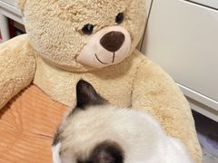 -美联众合24小时·皮肤科·外科·全科诊疗中心(华苑分院)