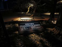 -世界恐龙谷景区