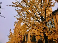 -重庆南山海昌汤都