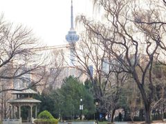 -玲珑塔公园