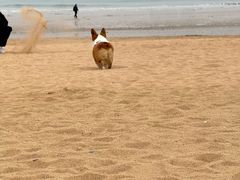 -青岛第三海水浴场