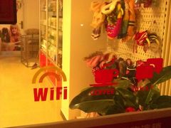 -派多格宠物(鼓楼店)