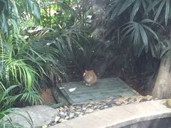 -郑州银基黄帝宫御温泉