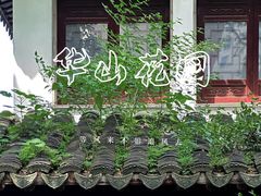 -复旦大学附属华山医院(总院)