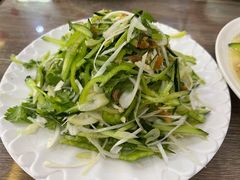 老虎菜-林之六八·6886大连老菜馆