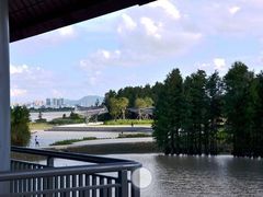 -芒洲湿地公园