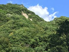-陕西省红河谷森林公园