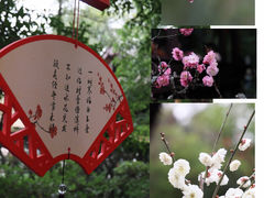 -成都杜甫草堂博物馆